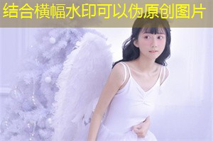 基于社区的可持续生计模式在上海的应用 基于社区的可持续生计模式在上海的应用